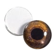 thumbnail image 1 of Redtail Hawk Glass Eyes, 1 of 8