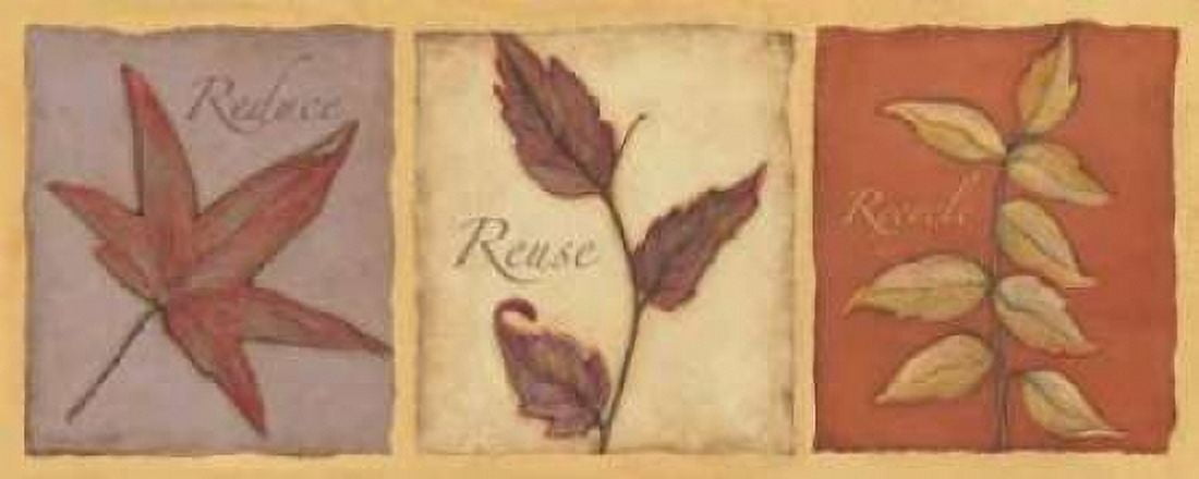 Reduce Reuse Recycle Canvas Art - Stephanie Marrott (10 x 20)