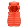 thumbnail image 1 of ZCFZJW Baby Boys Girls Hooded Puffer Vest Winter Lightweight Windproof Sleeveless Padded Warm Coat Outwear with Bear Ears Hood Casual Zipper Up Jacket(Orange#01,6-12 Months), 1 of 5