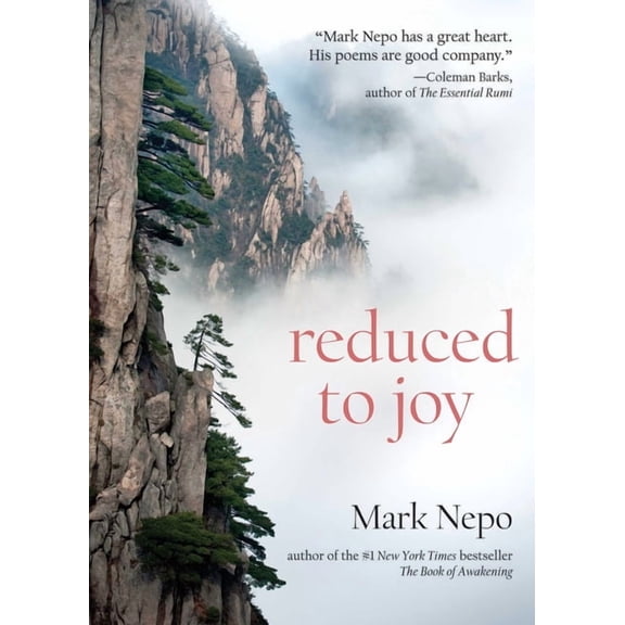Reduced to Joy, (Paperback)