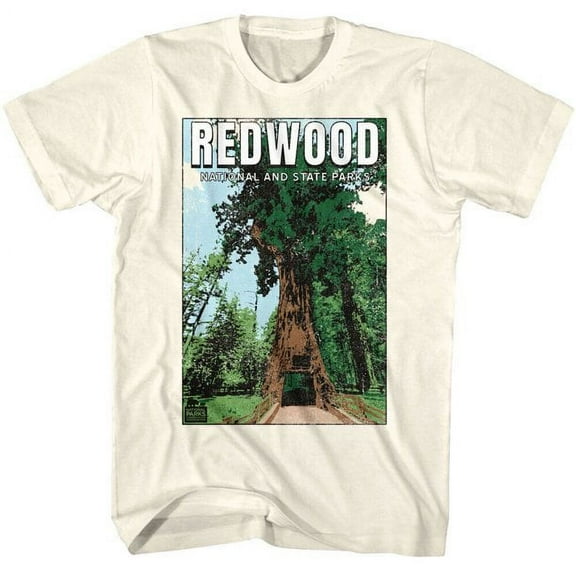 Redwood Chandelier Tree Men's T Shirt