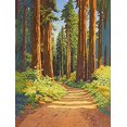 thumbnail image 1 of Redwood Forest Path Canvas Wall Art，Perfect for Living Room， Bedroom， Office， Hallway， and Bathroom Decor, 1 of 8