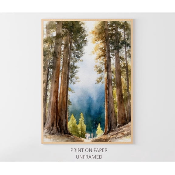 Redwood National Park Art Poster Sequoia California Landscape Travel Poster, Stretched Canvas Size 16x24
