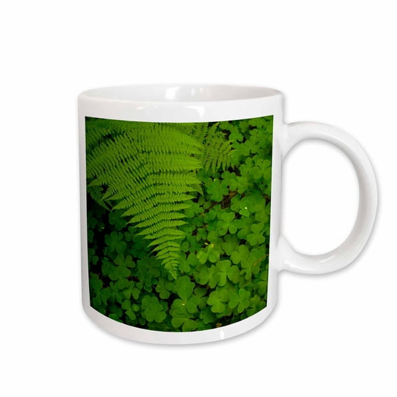 3drose, Redwood Sorrel with Lady Fern, Humboldt Redwoods Sp, California, 11oz Mug