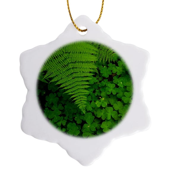 3drose, Redwood Sorrel with Lady Fern, Humboldt Redwoods Sp, California, 3 inch Snowflake Porcelain Ornament