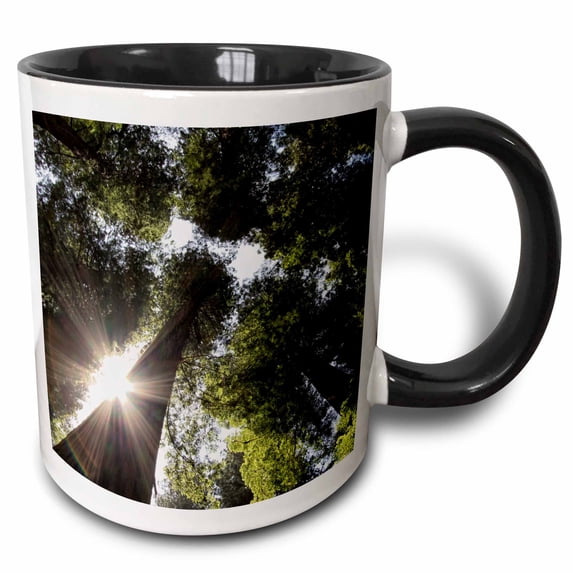3drose, Redwoods, Humboldt Redwoods State Park, California, 15oz Two-tone Black Mug