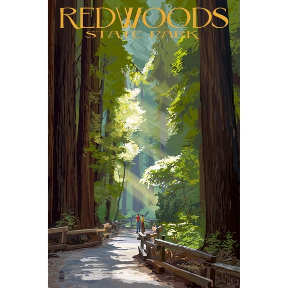 Redwoods Park, California, Pathway in Trees (24x36 Giclee Gallery Art Print, Vivid Textured Wall Decor)