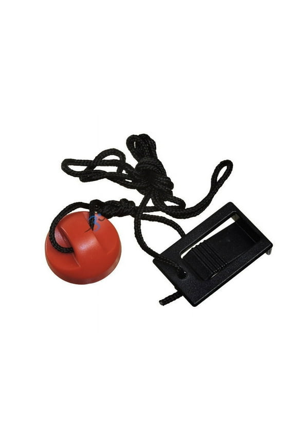8700 ES Treadmill Safety Key RBTL095072