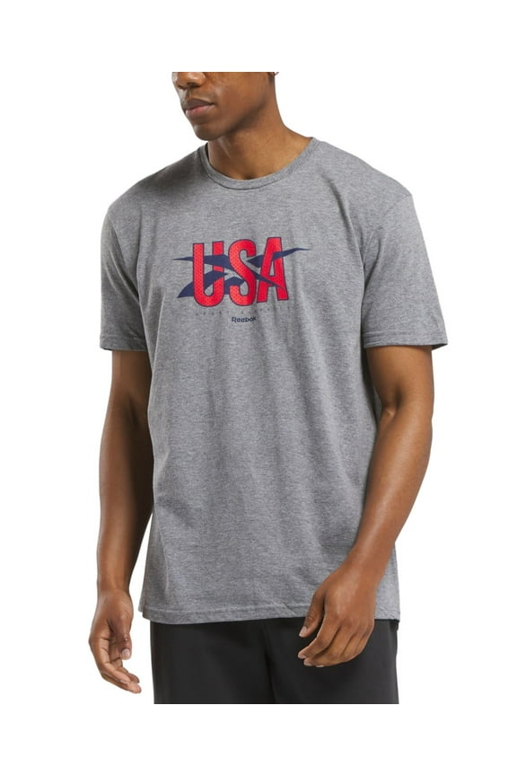 Mens Regular fit Short Sleeve Graphic T-Shirt Shirt Large Grey Solid