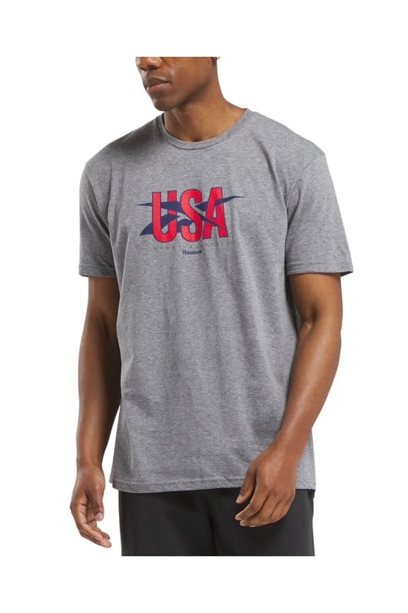 Mens Regular fit Short Sleeve Graphic T-Shirt Shirt Small Grey Solid