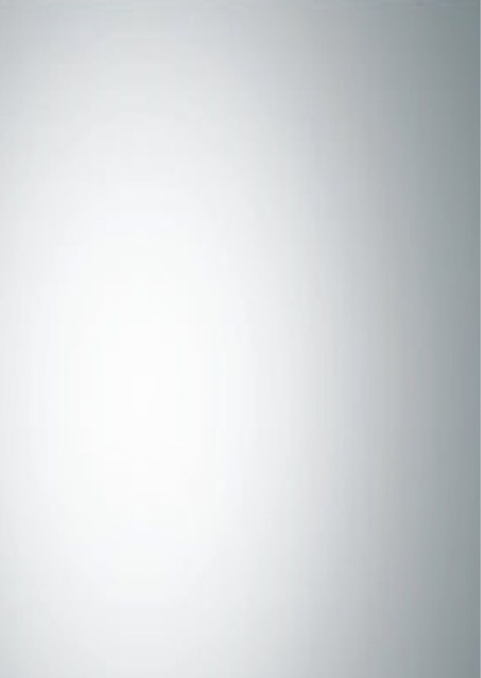 Reece 27.5 in. H x 19.5 in. W Rectangular Frameless Mirror with Dual Mounting Brackets
