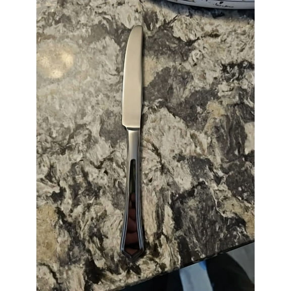 Reed & Barton 18/10 Stainless Montville Replacement 9.5" Butter Knife