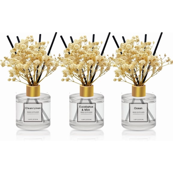 Reed Diffuser Set of 3 Pack,Clean Linen,Eucalyptus & Mint,Ocean Scented Oil with 4 Sticks,Reed Diffusers for Home,Living Room,Bathroom Air Freshener Diffuser,50ml x