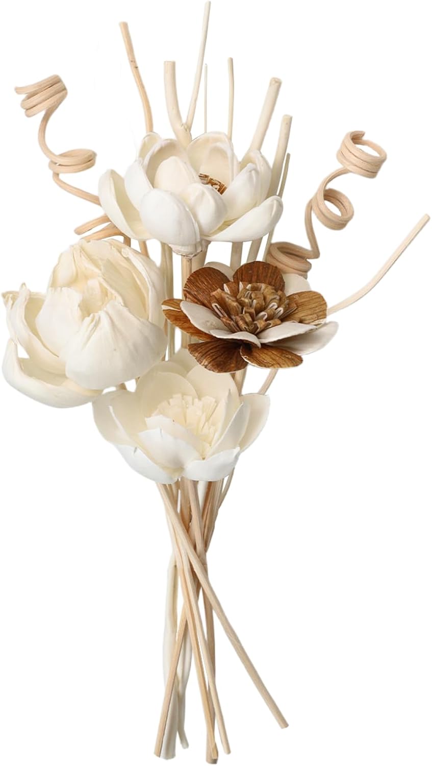 Reed Diffuser Sticks Set of 12, Natural Paper Material, Flower ...