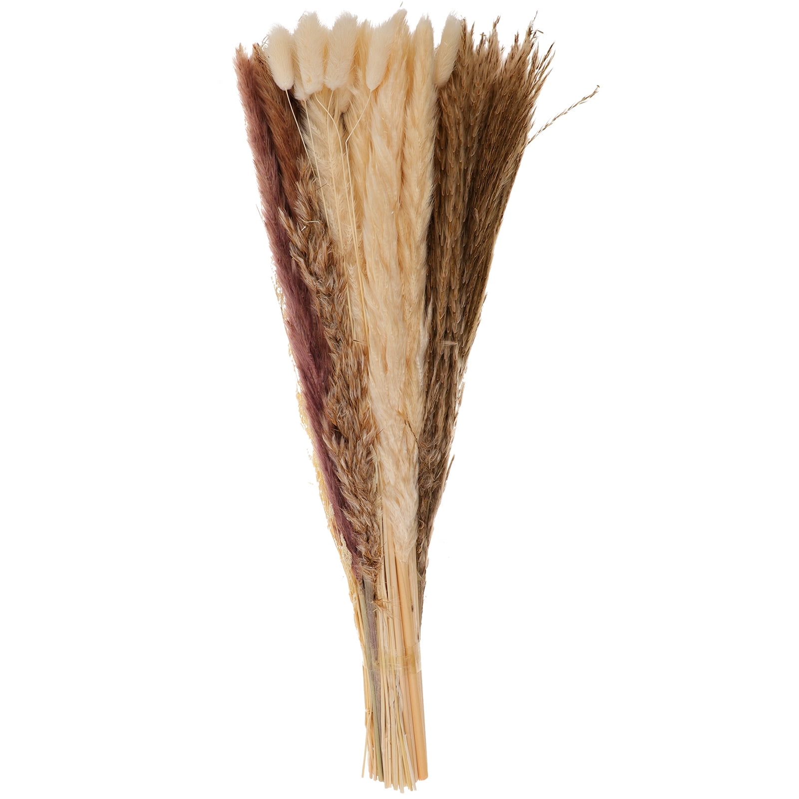 Reed Grass Ornaments Planta Artificial Bunny Tails Bouquet For Decor
