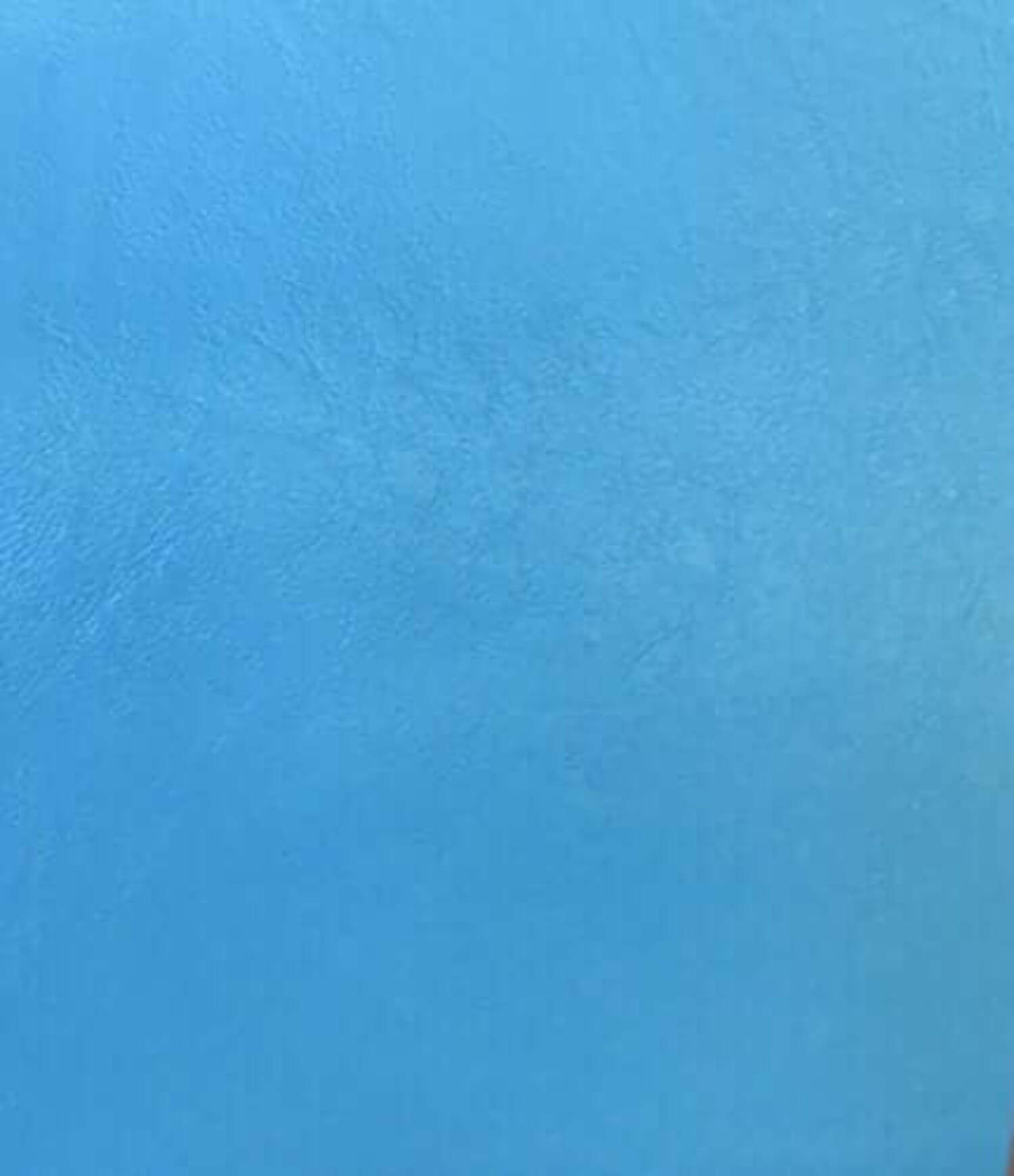 Reed® Lamb Skin Leather Hides - Premium Soft Touch Skin Leathers 5 - 7 SF (Sky Blue)