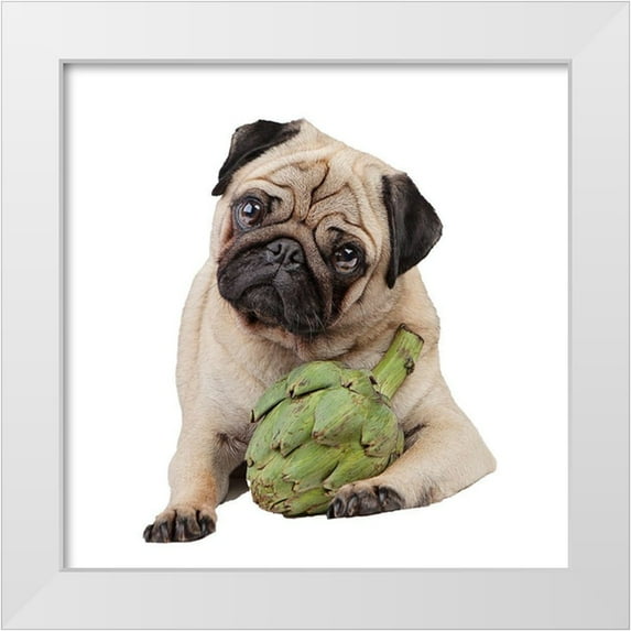 Reed, Michele 20x20 White Modern Wood Framed Museum Art Print Titled - Artichoke