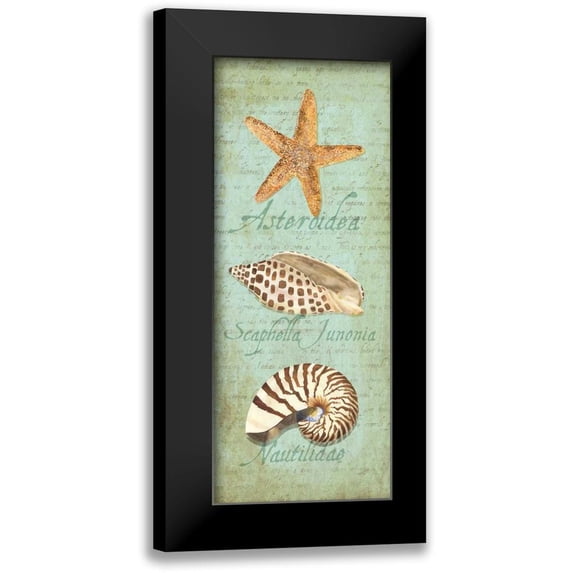 Reed, Tara 10x18 Black Modern Framed Museum Art Print Titled - Oceanum Shell Panel Green II