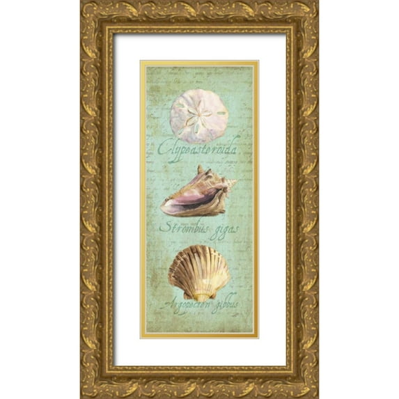 Reed, Tara 10x18 Gold Ornate Wood Framed with Double Matting Museum Art Print Titled - Oceanum Shell Panel Green I