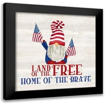 Reed, Tara 12x12 Black Modern Framed Museum Art Print Titled - Patriotic Gnomes IV-Land of the Free