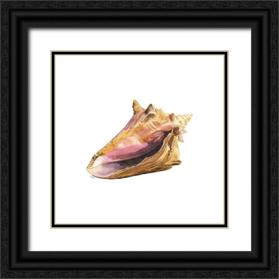 Reed, Tara 12x12 Black Ornate Wood Framed with Double Matting Museum Art Print Titled - Oceanum Shells white I-Conch