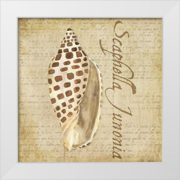 Reed, Tara 12x12 White Modern Wood Framed Museum Art Print Titled - Oceanum Shells Beige II