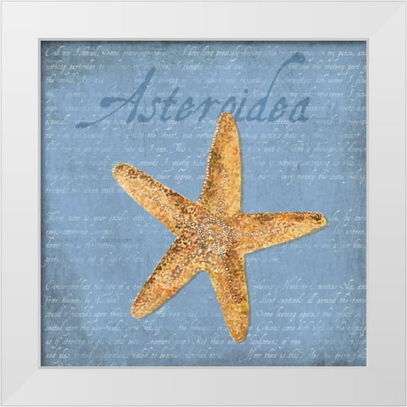 Reed, Tara 12x12 White Modern Wood Framed Museum Art Print Titled - Oceanum Shells Blue VI