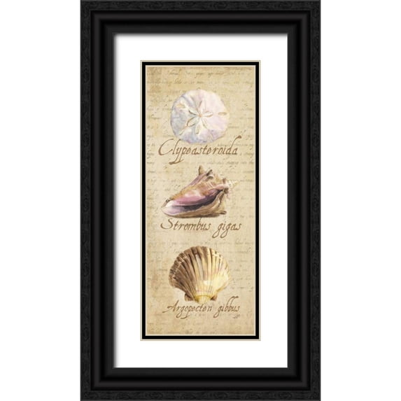 Reed, Tara 12x24 Black Ornate Wood Framed with Double Matting Museum Art Print Titled - Oceanum Shell Panel Beige I