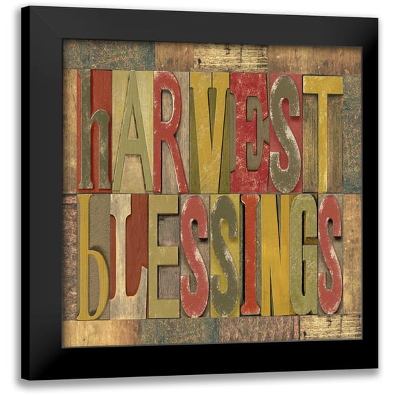 Reed, Tara 15x15 Black Modern Framed Museum Art Print Titled - Harvest Blessings Printer Block