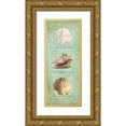 thumbnail image 1 of Reed, Tara 15x32 Gold Ornate Wood Framed with Double Matting Museum Art Print Titled - Oceanum Shell Panel Green I, 1 of 4