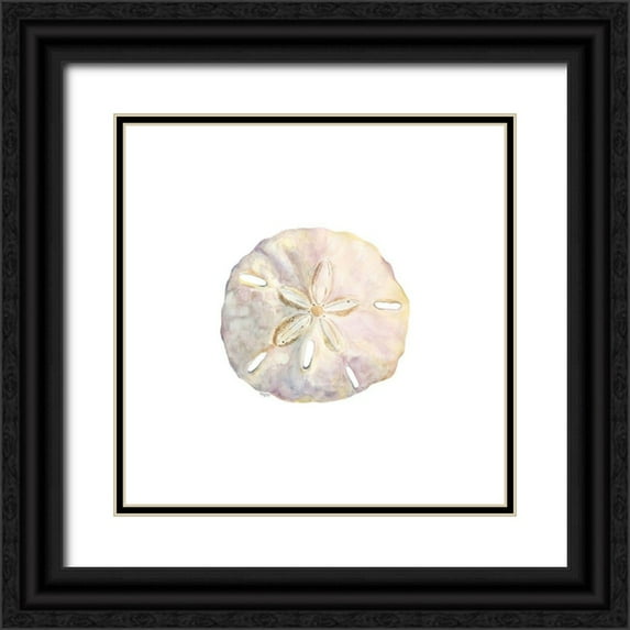 Reed, Tara 20x20 Black Ornate Wood Framed with Double Matting Museum Art Print Titled - Oceanum Shells white IV-Sand Dollar