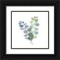 thumbnail image 1 of Reed, Tara 26x26 Black Ornate Wood Framed with Double Matting Museum Art Print Titled - Natural Inspiration Blue Eucalyptus on White I, 1 of 4