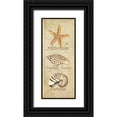 thumbnail image 1 of Reed, Tara 8x14 Black Ornate Wood Framed with Double Matting Museum Art Print Titled - Oceanum Shell Panel Beige II, 1 of 4