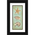 thumbnail image 1 of Reed, Tara 8x14 Black Ornate Wood Framed with Double Matting Museum Art Print Titled - Oceanum Shell Panel Green II, 1 of 4