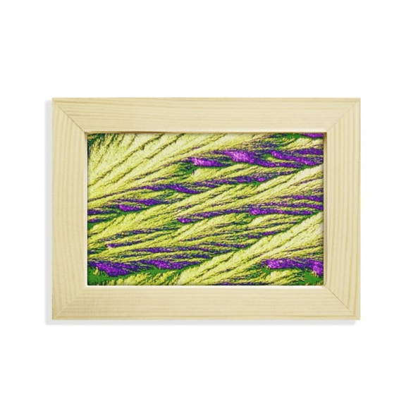 Reeds Cluster Feather Colour Wallpaper Desktop Decorate Photo Frame Picture Art Painting 5x7 inch