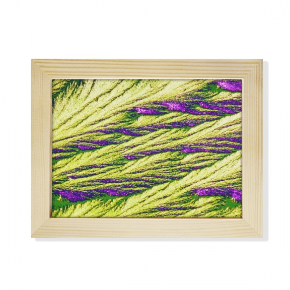 Reeds Cluster Feather Colour Wallpaper Desktop Photo Frame Picture Art Decoration Painting 6x8 inch
