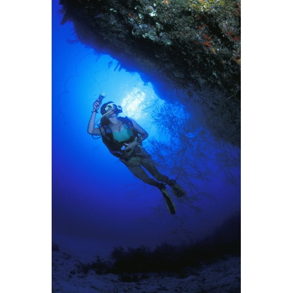 Reef Examination Poster Print (22 x 34)