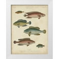 thumbnail image 1 of Rees, Abraham 25x32 White Modern Wood Framed Museum Art Print Titled - Non-Embellished Ichthyology I, 1 of 4