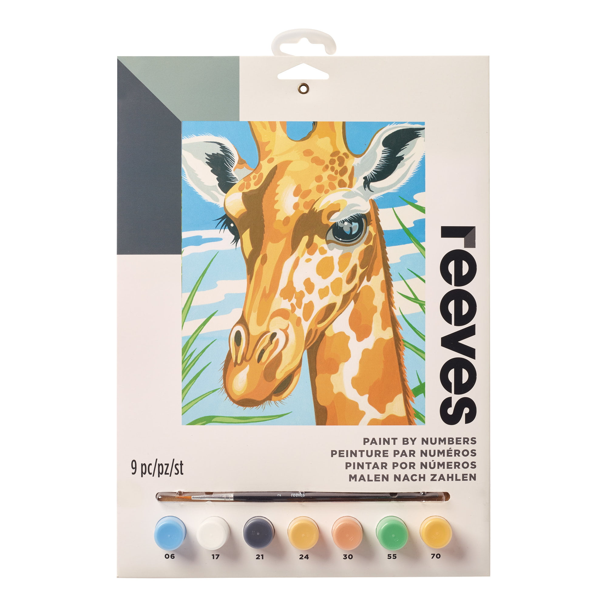 DIY Paint by Numbers for Adults Beginner, Adult Paint by Number Kits on  Canvas Number Painting for Adults Giraffe Acrylic Painting Kit, Easy Paint  by
