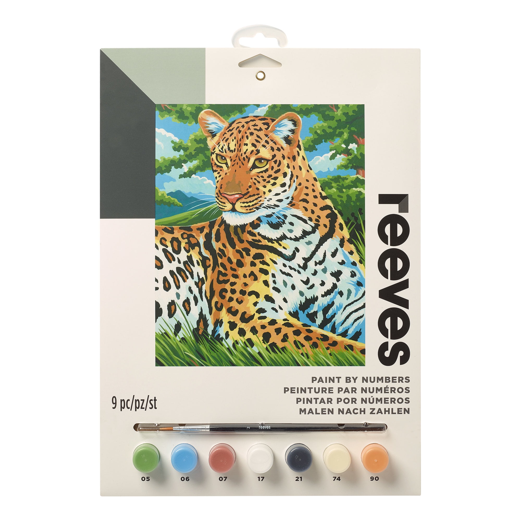 Paint by Numbers Archives - Paintology  Abstract coloring pages, Adult  color by number, Leopard painting