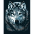 thumbnail image 1 of Reeves Wolves Scraperfoil, 1 of 2