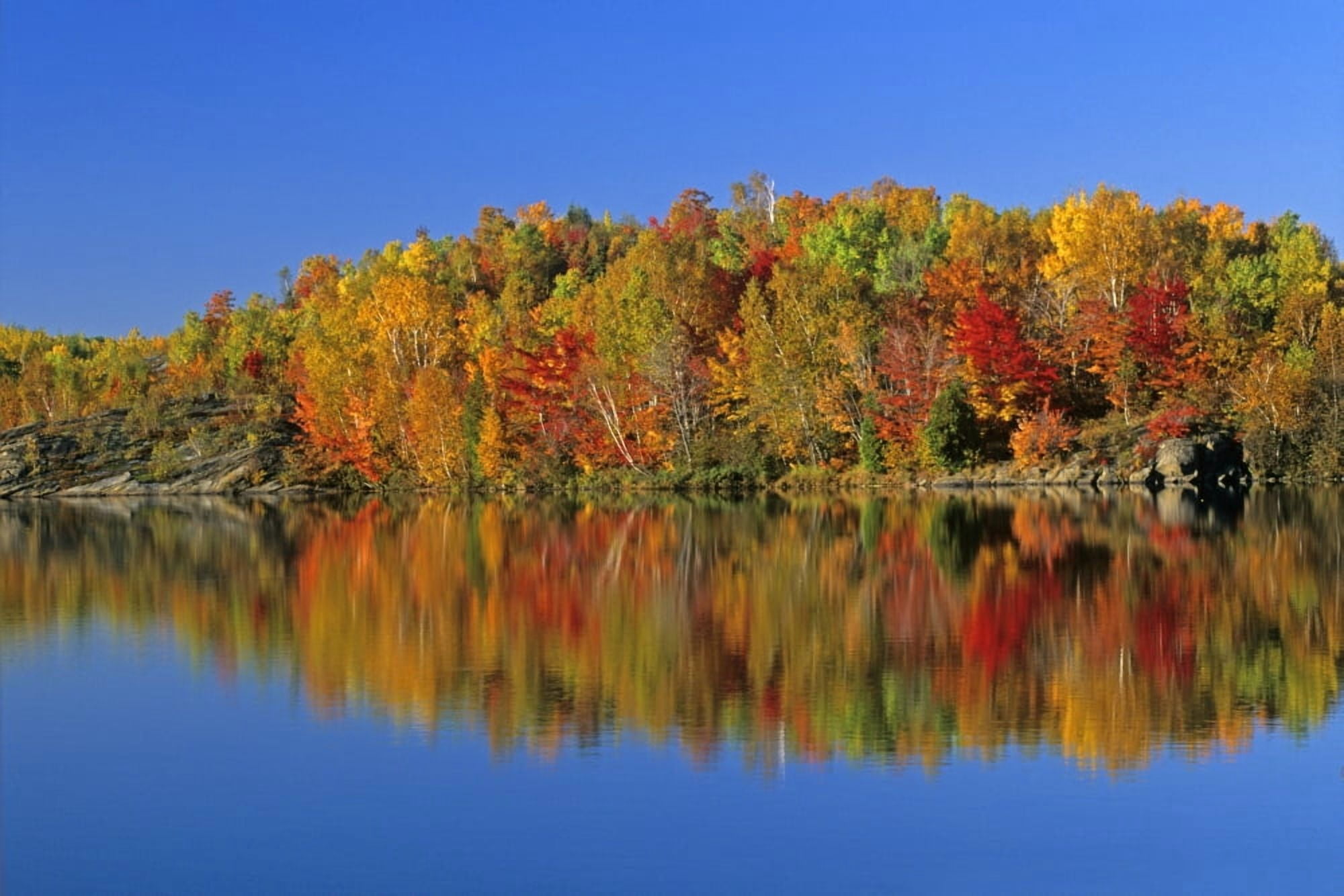 Reflected Autumn Trees In Simon Lake Naughton Ontario Canvas Art - Mike Grandmaison Design Pics (17 x 11)