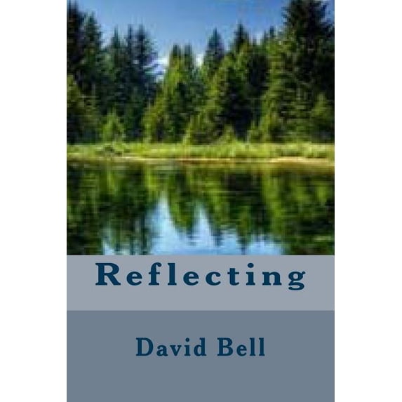 Reflecting (Paperback)