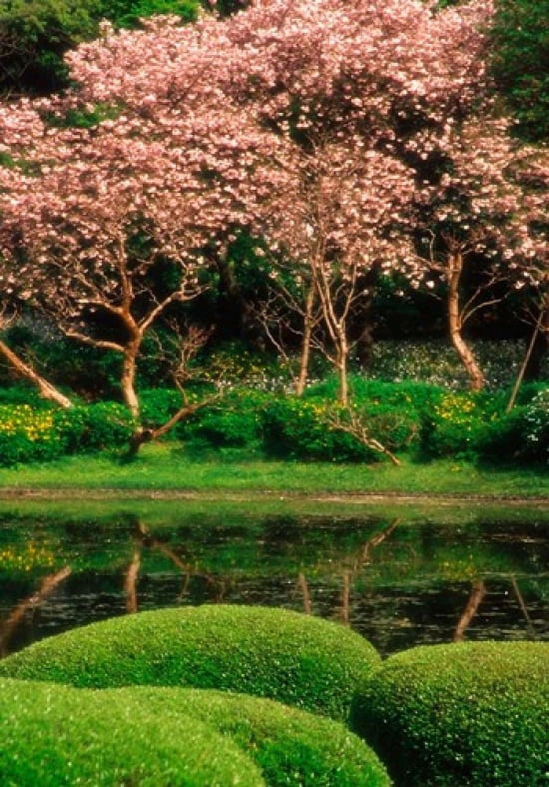 Reflecting Pond Imperial Palace East Gardens Tokyo Japan Canvas Art - Jaynes Gallery DanitaDelimont (24 x 36)