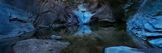 Reflecting Pool Canvas Art - Shelley Lake (8 x 24)