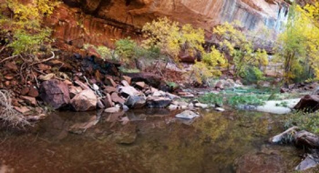 Reflecting pond in Zion National Park Springdale Utah USA Canvas Art - Panoramic Images (36 x 20)