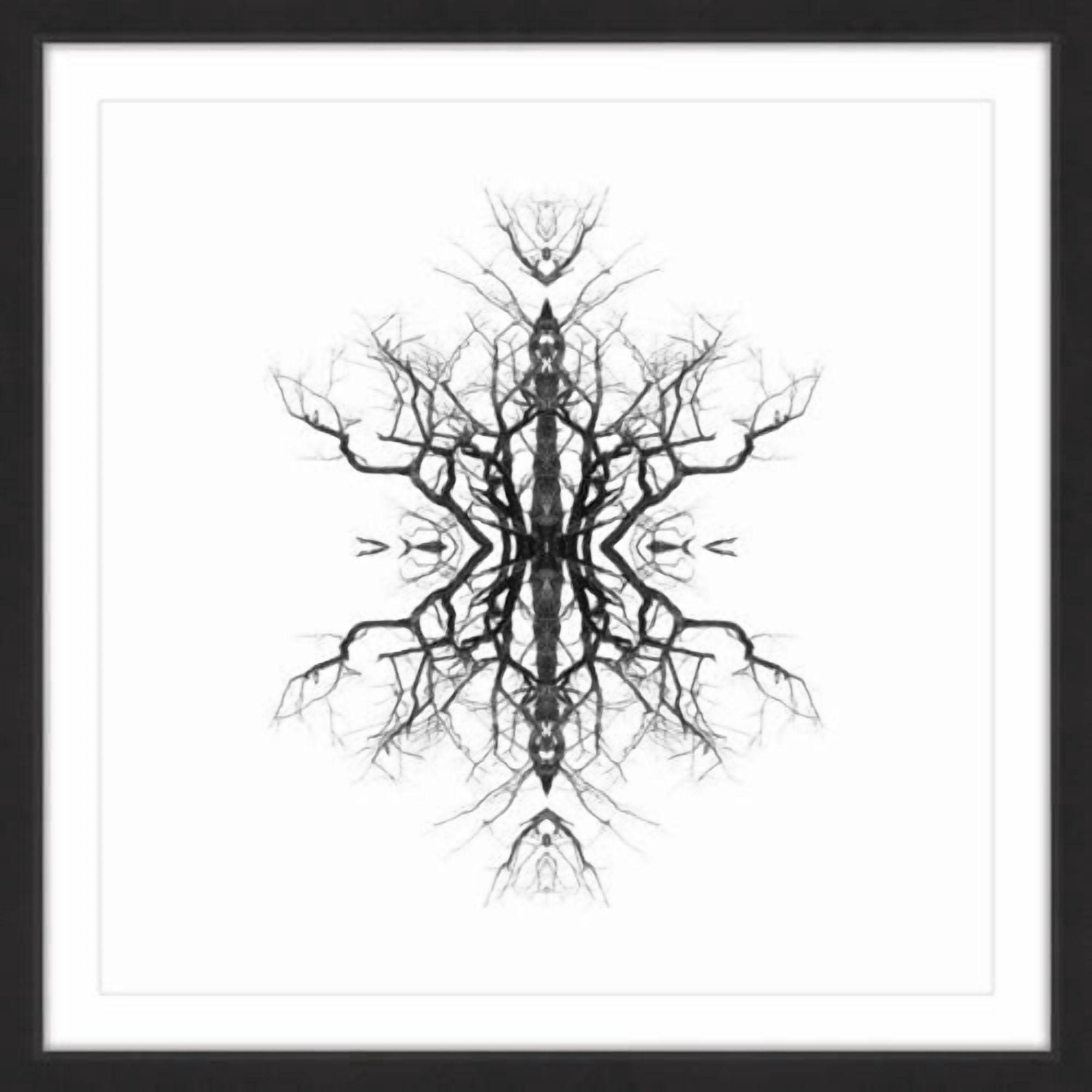 "Reflection" Framed Painting Print