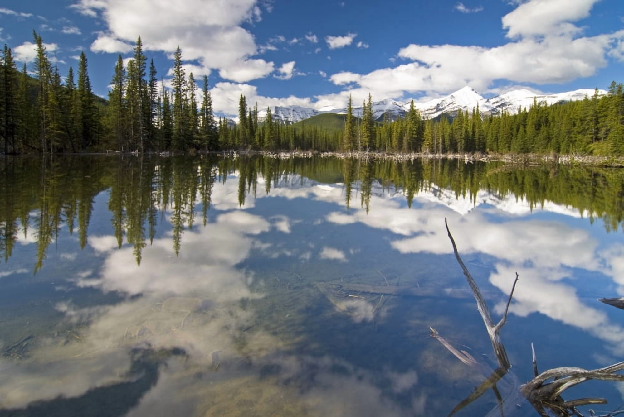 Reflection In Water Kananaskis Alberta Canvas Art - Philippe Widling Design Pics (17 x 11)