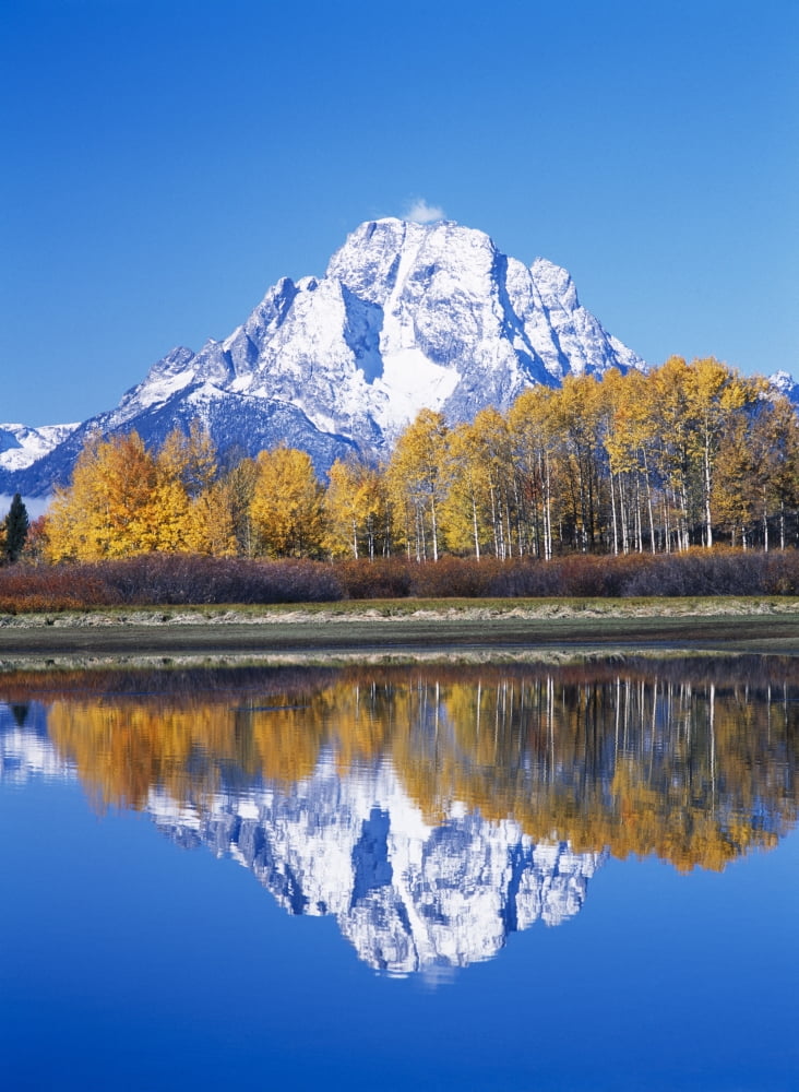 Reflection Mount Moran Snake River Grand Teton National Park Montana Usa Canvas Art - Natural Selection David Ponton Design Pics (11 x 16)