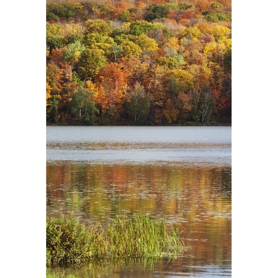 Reflection Of Autumn Colors In A Lake; Ontario, Canada Poster Print (24 x 38)